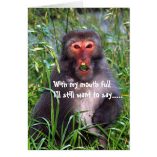 Funny Monkey All-Occasion Greeting Card