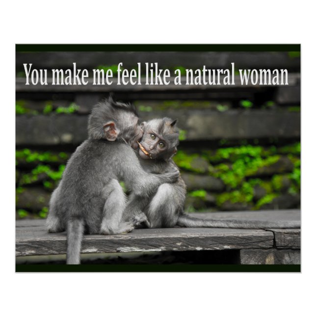 Funny Monkey Ape Gorilla Nemes with Funny Sayings Poster (Front)