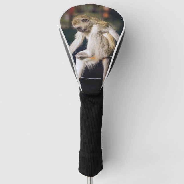 Funny monkey golf head cover (Front)