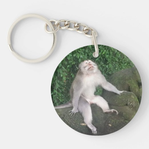 Funny Monkey Key Rings & Keychains | Zazzle UK