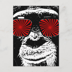 Funny monkey postcard