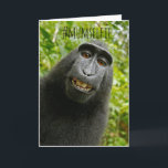 Funny Monkey Selfie Mother's Day Card<br><div class="desc">Funny Monkey Mum Selfie Mother's Day Card - sure to make your Mum smile!</div>