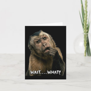 Funny monkey slang quote wait what meme cute card