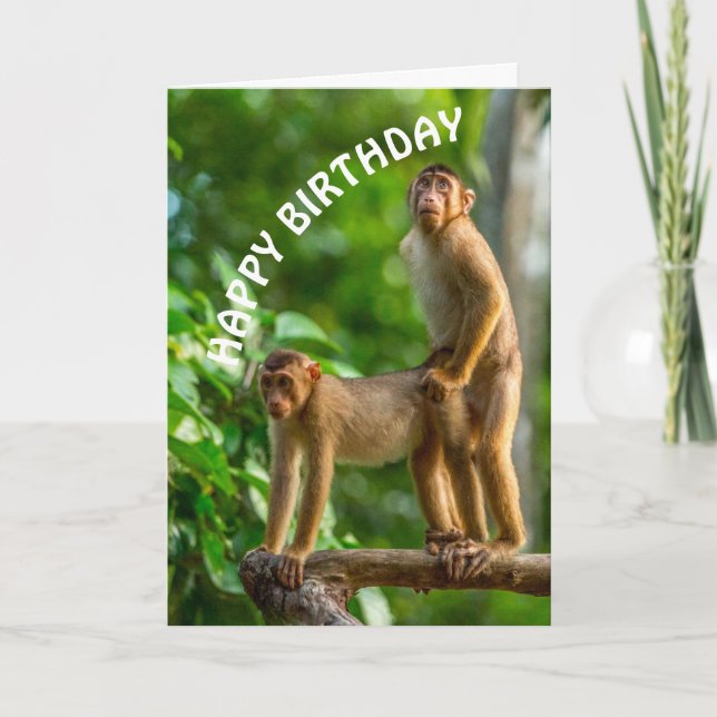 Funny Monkeys Happy Birthday Dirty Mind Card (Front)