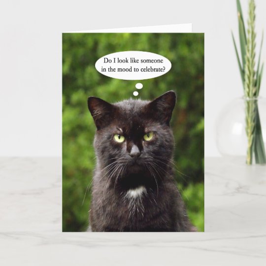 Cards Stationery 21 Isn T Just An Age 21st Pop Up Cat Happy Birthday Card New Uk Greetings Humour Home Furniture Diy