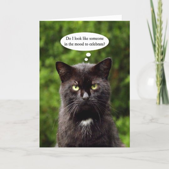 Funny Moody Black Cat Birthday Card Zazzle Co Uk