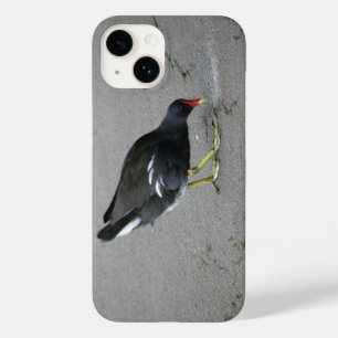 Funny Moorhen Take a Bow Case-Mate iPhone 14 Case