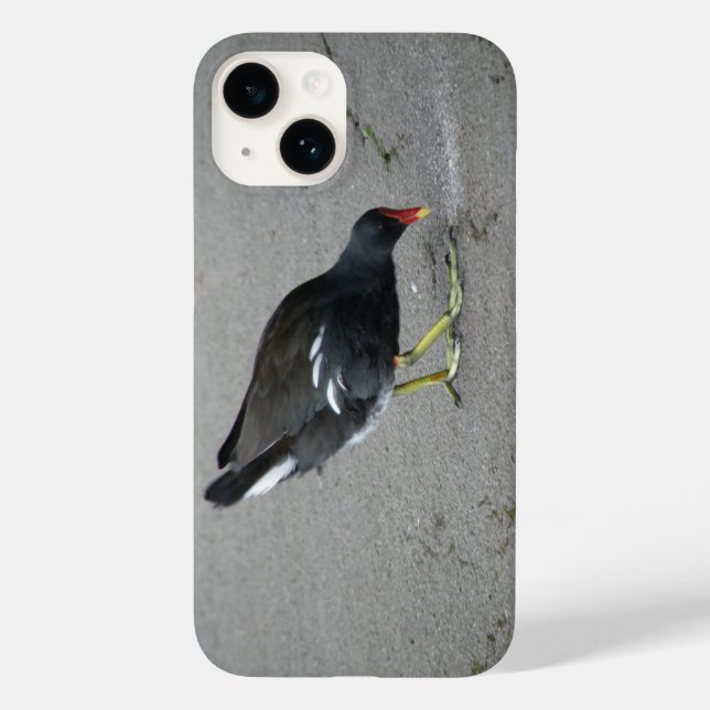Funny Moorhen Take a Bow Case-Mate iPhone Case (Back)