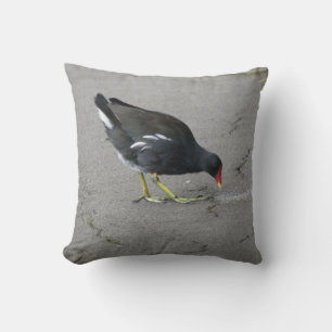 Funny Moorhen Take a Bow Pillow