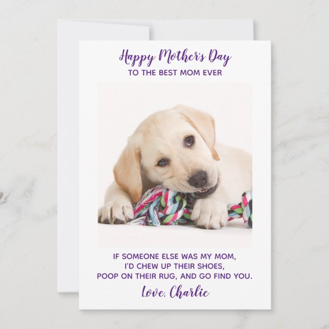 Funny Mothers Day Personalised Pet Photo Dog Mum  Holiday Card (Front)