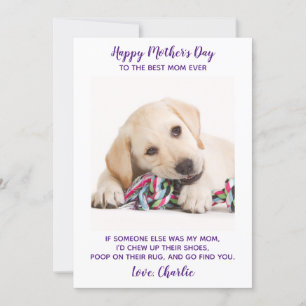 Funny Mothers Day Personalised Pet Photo Dog Mum  Holiday Card