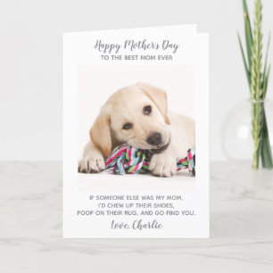 Funny Mothers Day Personalised Pet Photo Dog Mum Holiday Card