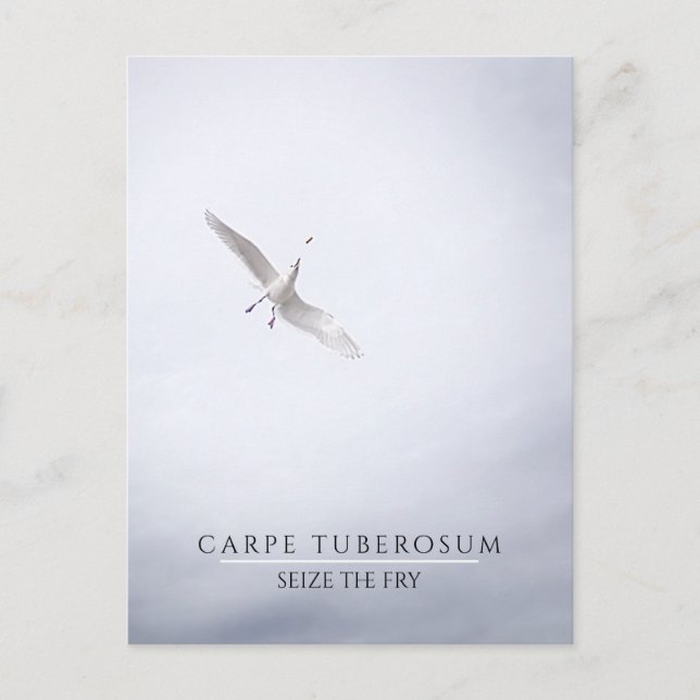 Funny Motivational Seagull Carpe Diem French Fries Postcard (Front)