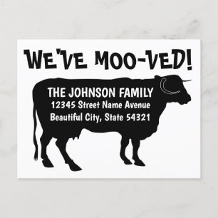 Funny Moving Cow New Address We've Moo-ved Black Announcement Postcard