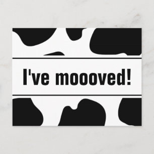 Funny moving postcards with cow print   i've moved