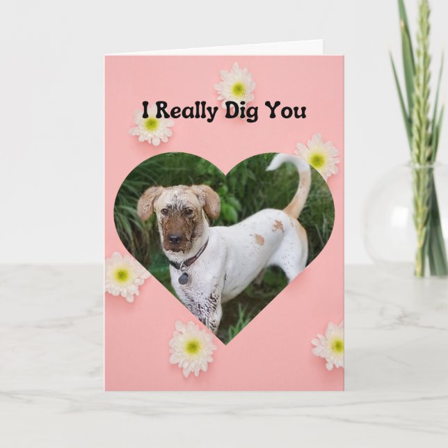 Funny Muddy Dog I Really Dig You Valentine Card (Front)