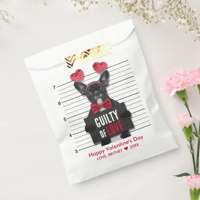 Funny Mugshot Guilty Love Dog Valentine's Day Favour Bags (Sealed)