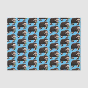 Funny musk ox cartoon illustration tissue paper