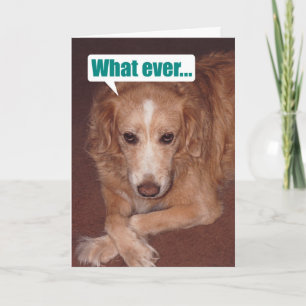 Funny Mutt with Atitude Birthday Card