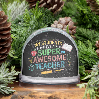 Funny My Students Have A Super Awesome Teacher Snowglobe