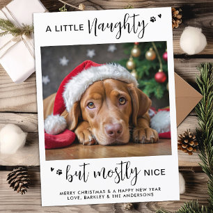 Funny Naughty Nice Personalised Cute Dog Pet Photo Holiday Card