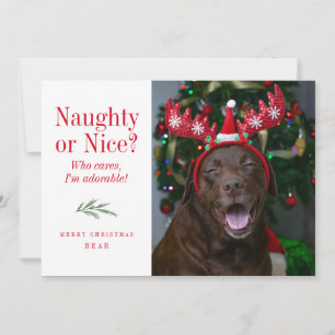 Funny Naughty or Nice Pet Christmas Photo Card