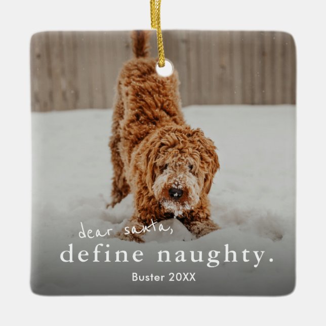 Funny Naughty Pet 2 Photo Christmas Ceramic Ornament (Front)