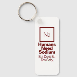 Funny Nerdy Quote/Saying Chemistry Joke Key Ring
