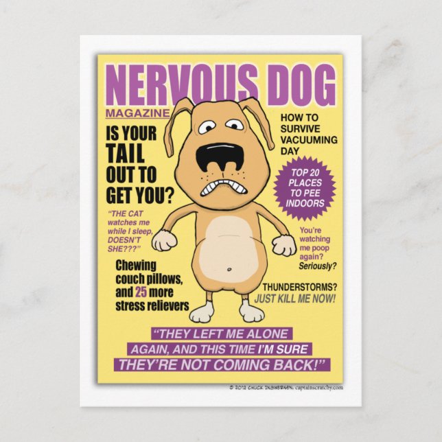 Funny Nervous Dog Magazine postcard (Front)