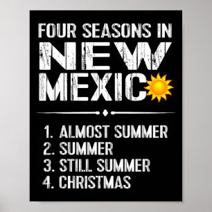 Funny New Mexico Hot Weather Tee_ Four Seasons In Poster