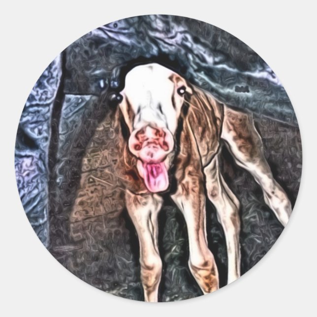 Funny Newborn Foal Classic Round Sticker (Front)