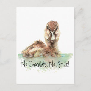 Funny, No Chocolate, No Smile, Angry Duck, Bird Postcard