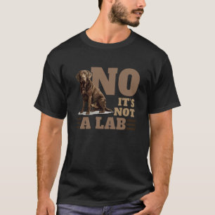 Funny No It's Not A Lab Chesapeake Bay Retriever D T-Shirt
