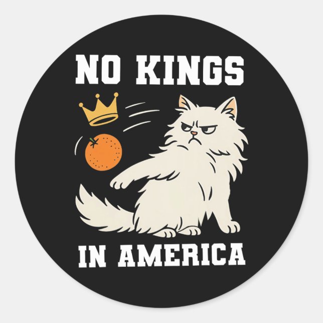 Funny No Kings In America  Classic Round Sticker (Front)