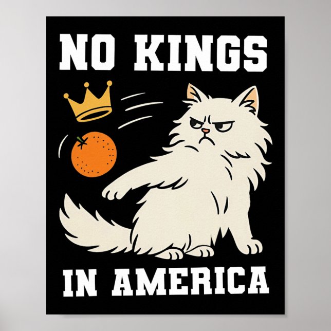 Funny No Kings In America  Poster (Front)
