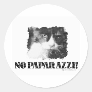 Funny No Paparazzi Cat Classic Round Sticker