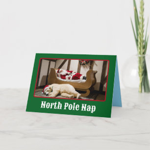 Funny North Pole Nap Christmas Card