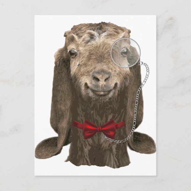 Funny Nubian Goat With Monocle Postcard (Front)