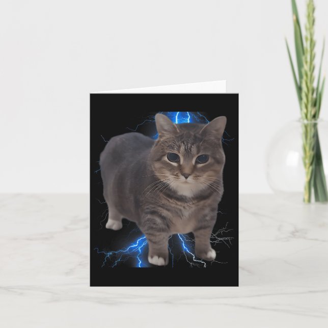 Funny Oiia Oiia Spinning Cat Meme Cat Brainrot  Card (Front)