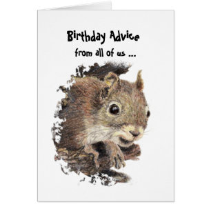 Funny Old Age Birthday Advice from a Squirrel Card