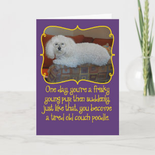 Funny Old Couch Poodle Birthday Card