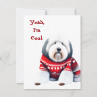 Funny Old English Sheepdog in Christmas Sweater
