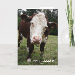 Funny Old Fart Cow Birthday Card