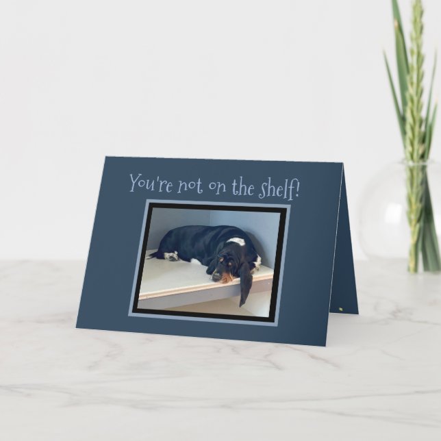 Funny "On The Shelf" Birthday w/Celebrating Basset Card (Front)