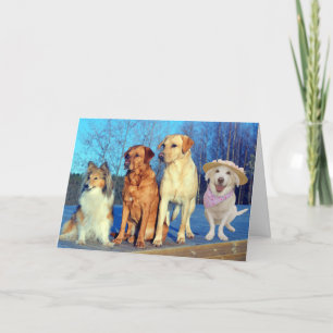 Funny One of a Kind Lab Birthday Card