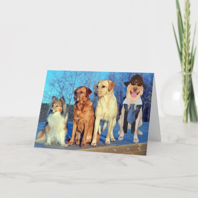 Funny One of a Kind Lab Birthday Card (Front)