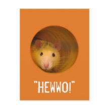 Funny Optical Illusion Rat in Hole