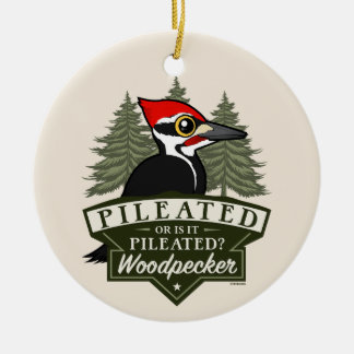 Funny Or Is It Pileated Woodpecker Pronunciation Ceramic Tree Decoration