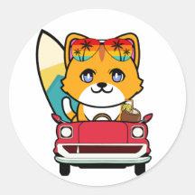 Funny orange cat is driving to the beach
