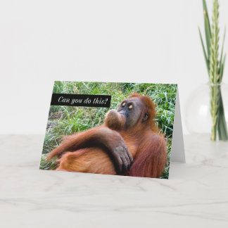 Funny Orangutan Greeting Card